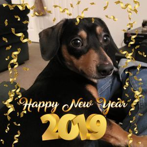 Meet your Posher, Robin